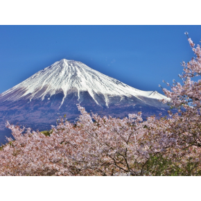 富士山.png