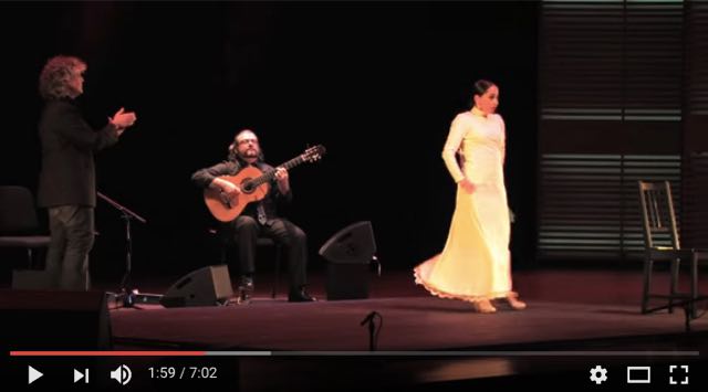 flamenco_gua.jpg